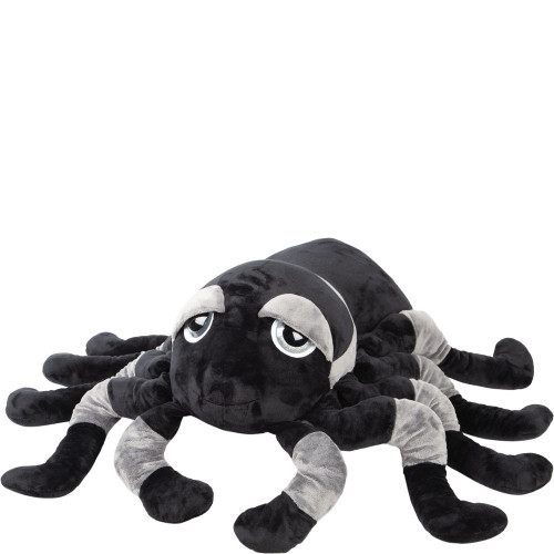 Suki - Jumbo Grey & Black Sid Tarantula