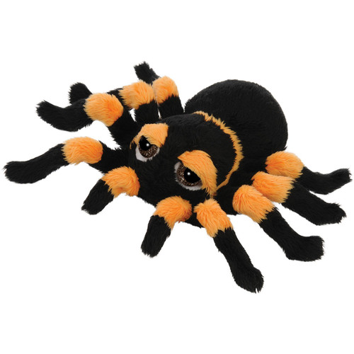 Suki - Small Orange & Black Spindra Tarantula