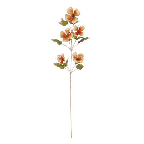 Orange Caper Flower (109cm)
