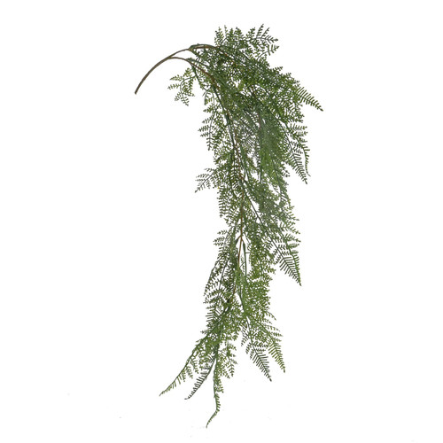 Green Lace Fern Trailing Spray
