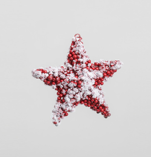 Red Frosted Berry Hanging Star (10cm)