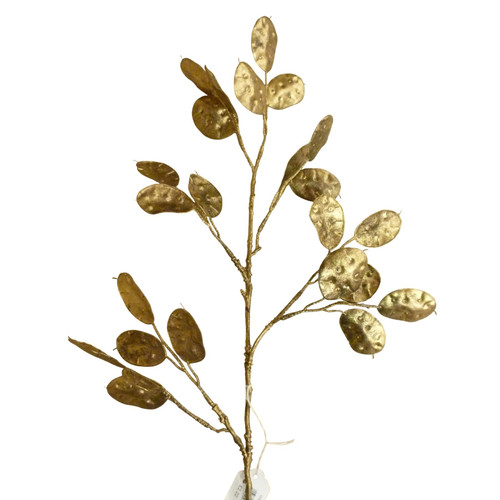 Silver Dollar Spray Copper (84cm)