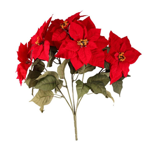 Large Poinsettia Bush  (20 Inch) Large Poinsettia Bush  (20 Inch)