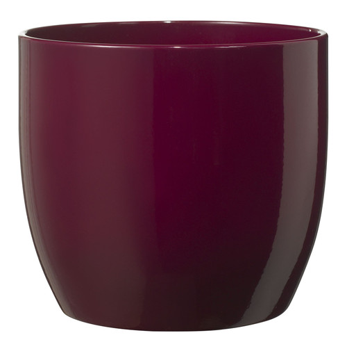 Shiny Cyclamen Basel Fashion Pot (13cm) - Discontinued