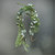Eucalyptus and Pine Garland (150cm) Eucalyptus and Pine Garland (150cm)