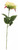 Rose Light Green  - Discontinued