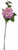 Large Hydrangea Purple & Pink