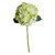 Short Stem Hydrangea Green