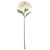 68cm Single Large Hydrangea Cream  68cm Single Large Hydrangea Cream
