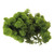 500G Light Green Reindeer Moss