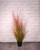 Potted Bronze Stipa Grass (100cm)