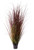 Potted Bronze Stipa Grass (122cm)