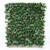 Exterior UV Resistant Expandable Photinia Trellis Exterior UV Resistant Expandable Photinia Trellis