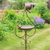 Birdfeeder Stake with Watering Can (141cm) 