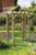 Forest Garden Ultima Pergola Arch Forest Garden Ultima Pergola Arch