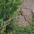 Rusty Vintage Arch Rusty Vintage Arch