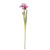 Monet Iris Pink 87cm