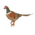 Large Pheasant (H22cm)