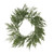 Asparagus Fern Wreath (60cm)