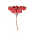 Frosted Berry Pick (Red, Dia1.8cm)