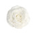White Rose with Glitter and Clip (Dia18cm)
