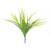 Yellow Hardy Grass (30cm)  Yellow Hardy Grass (30cm)