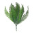 Green Shady Fern (30cm)  Green Shady Fern (30cm)
