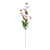 Pink Wild Daisy Spray (84cm)