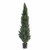 Artificial Cypress Topiary (150cm) Artificial Cypress Topiary (150cm)