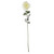 Snowy White English Rose (72cm) Snowy White English Rose (72cm)