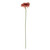 Essential Dusky Pink Gerbera