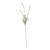 Essential Lavender Stem