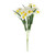 Essential White Narcissus Bush with Leaves 