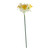 Essential White Mini Daffodil (3 Heads) 