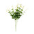Essential Light Green Ruscus Bush 