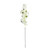 Essential White Bougainvillea Spray 