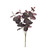 Essential Purple Eucalyptus Bush 
