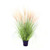 Potted Pampas Bush (86cm)