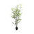 UV Botanica Bamboo Plant (121cm)