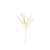 Bleached Eucalyptus Bunch Bleached Eucalyptus Bunch