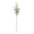 Grey/Green Eucalyptus Stem