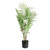 Botanica Areca Palm in Pot (72cm)