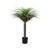 Botanica Yucca Tree in Pot (105cm)