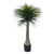 Botanica Yucca Tree in Pot (135cm)
