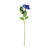 Essential Blue Rose Essential Blue Rose