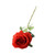 Essential Red Garden Rose
