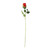 Essential Red Rose Bud