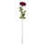 Arundel Open Rose Mauve