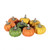 Assorted Coloured Pumpkins (Pack of 8)