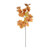 Essential Autumn Maple Leaf -Orange Essential Autumn Maple Leaf -Orange